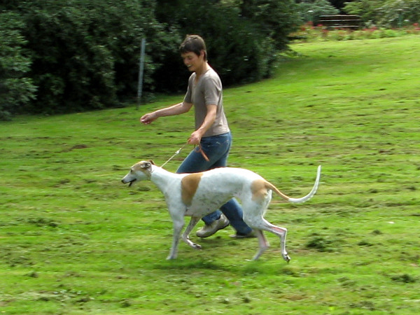 Michaela mit Greyhound Jo Ann im Kurpark Bad Homburg