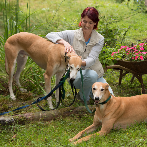 Michaela Maurer mit ihren Greyhounds